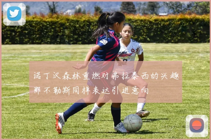 诺丁汉森林重燃对弗拉泰西的兴趣那不勒斯同样表达引进意向